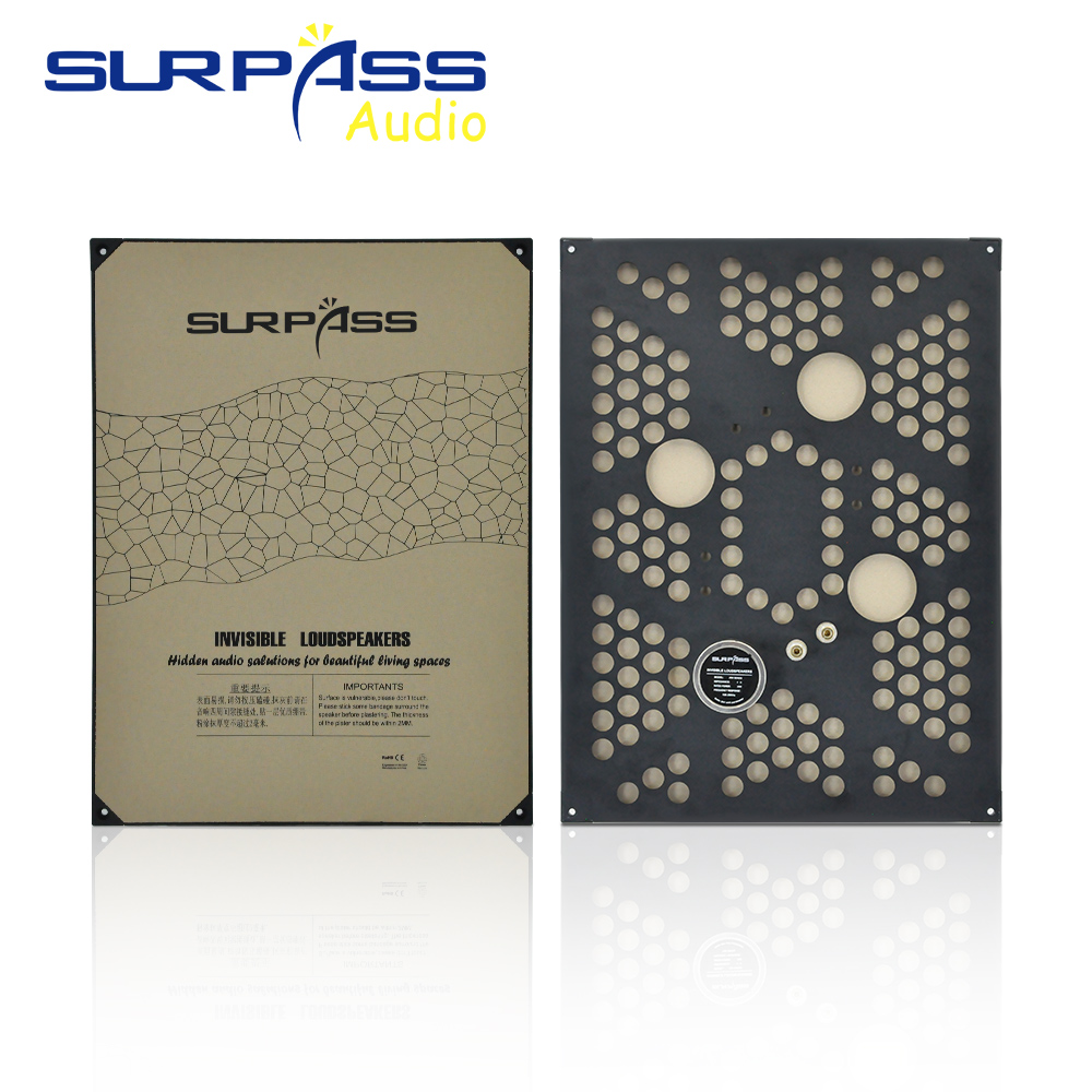 Audio Music In Background - Speaker Dalam Ruangan Tak Terlihat 20W